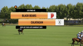 Captura de pantalla 2025-08-10 a las 2.32.23 p. m.